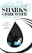 Swimming With Sharks in Dark Water: Having Race and Working With Grace in Corporate White America