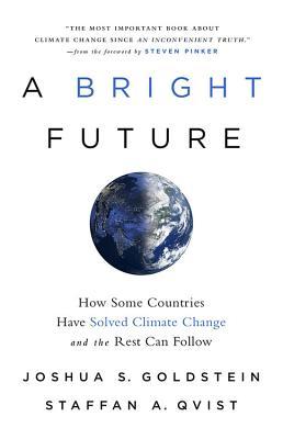 A Bright Future: How Some Countries Have Solved Climate Change and the Rest Can Follow (Hardcover)