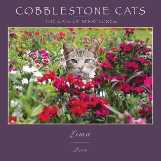 Cobblestone Cats - Mf