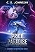 The Price of Paradise (The Divine Space Pirates, #3)
