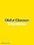 Experience by Olafur Eliasson