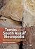 Tombs of the South Asasif Necropolis: New Discoveries and Research 2012–2014