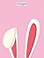 sketchbook: Cute bunny on pink cover (8.5 x 11) inches 110 pages, Blank Unlined Paper for Sketching, Drawing , Whiting , Journaling & Doodling (Cute bunny on pink sketchbook)