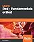 Learn Red - Fundamentals of...