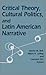Critical Theory, Cultural Politics, and Latin American Narrative