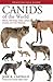 Canids of the World: Wolves...