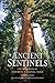 Ancient Sentinels by Thomas Harvey