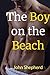 The Boy on the Beach