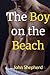 The Boy on the Beach by John  Shepherd