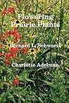 Flowering Prairie Plants
