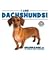 I Like Dachshunds! (Discover Dogs with the American Canine Association)