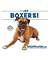I Like Boxers! (Discover Dogs with the American Canine Association)