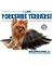 I Like Yorkshire Terriers! (Discover Dogs with the American Canine Association)
