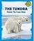 The Tundra: Discover This Frozen Biome (Discover the World's Biomes)