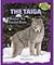 The Taiga: Discover This Fo...
