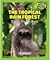 The Tropical Rain Forest: D...
