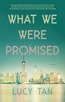 What We Were Promised