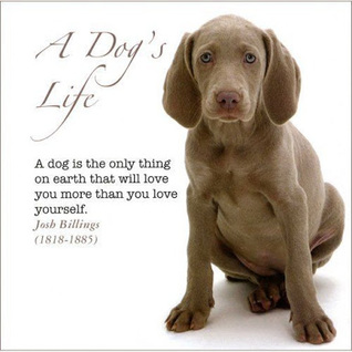 A Dog’s Life