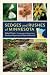 Sedges and Rushes of Minnesota by Welby R. Smith