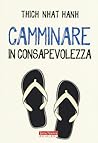 Camminare in cons...
