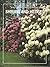 Shrubs and Hedges (The American Horticultural Society Illustrated Encyclopedia of Gardening)