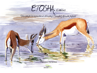 Etosha, Namibia: Drawing African nature / Dibujando la naturaleza africana (Wildlife illustrations)