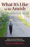 What It's Like to Be Amish What It's Like to Be Amish