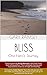 Bliss: One Hero's Journey