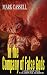 In the Company of False Gods by Mark Cassell