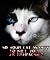 So Your Cat Wants to Kill You