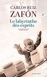 Book cover for Le Labyrinthe des esprits