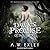 Dawn's Promise (Silent Wings, #1)