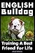 English Bulldog by Rory Anderson