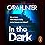 In the Dark (DI Adam Fawley...
