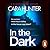 In the Dark (DI Adam Fawley, #2)