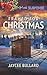 Framed for Christmas by Jaycee Bullard