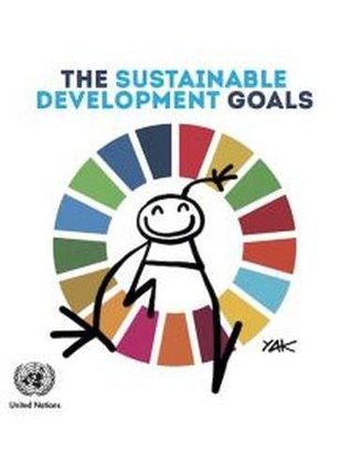 The Sustainable Development Goals (Hardcover)
