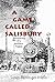 A GAME CALLED SALISBURY by Susan Barringer Wells