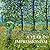 A Year in Impressionism by Prestel Publishing