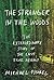 The Stranger in the Woods