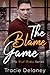 The Blame Game (Brook Brothers, #1)