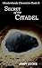Secret of the Citadel (Shad...