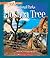 Joshua Tree (A True Book: National Parks)