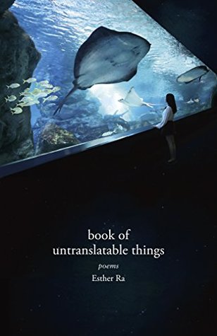Book of Untranslatable Things (Paperback)