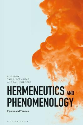 Hermeneutics and Phenomenology: Figures and Themes (Hardcover)