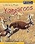 A Mob of Kangaroos