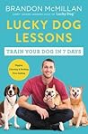 Lucky Dog Lessons...