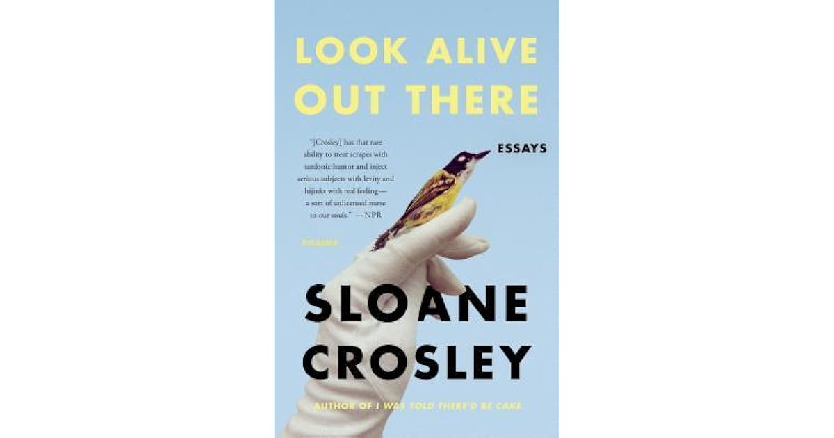 Sloane crosley net worth picture