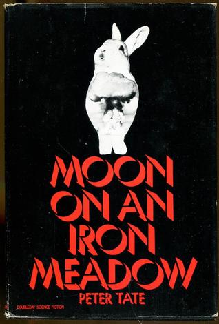 Moon on an Iron Meadow