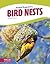 Bird Nests (Focus Readers: Animal Engineers: Beacon Level)